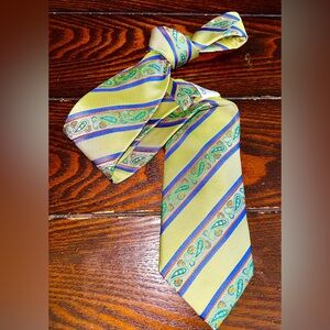Rare, Vibrant Striped Paisley Men's Tie